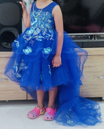 Picture of Butterflies party frock with tail For 2-4Y