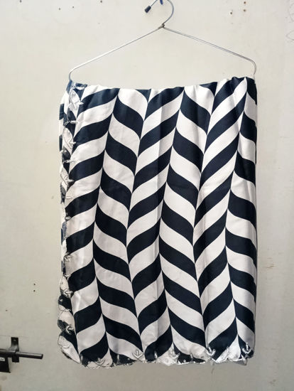 Picture of Black and white zebra🦓 partyware saree