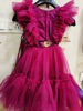 Picture of Net crop top Lehanga For 2-4Y