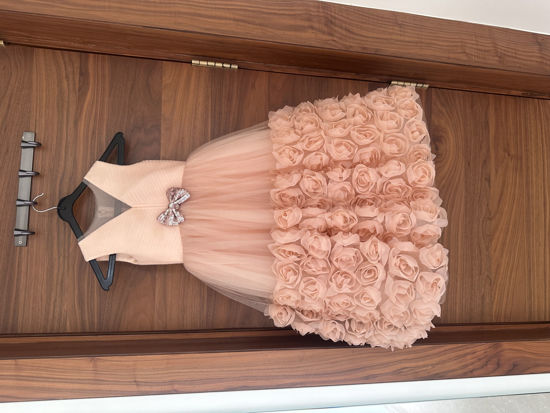 Picture of Peach roses Frock For 2-4Y