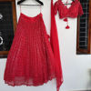 Picture of Red Lehanga