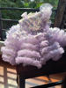Picture of Party wear frock for 1-2 Y