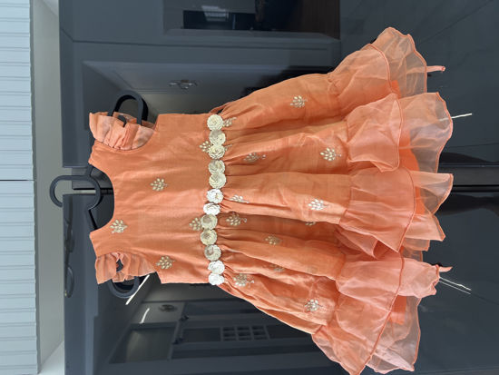 Picture of Beautiful copper and gold custom made dress For 2-4Y