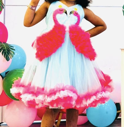 Picture of Customised flamingo themed frock For 4-5Y
