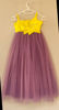 Picture of Netted Frock For 8-10Y