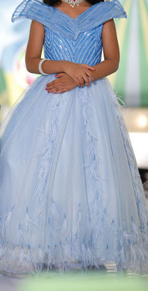 Picture of Cindrella Feather designer frock For 2-4Y