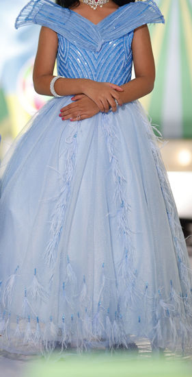 Picture of Cindrella Feather designer frock For 2-4Y