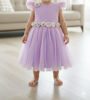 Picture of Soft net kids party wear frock For 2-3Y