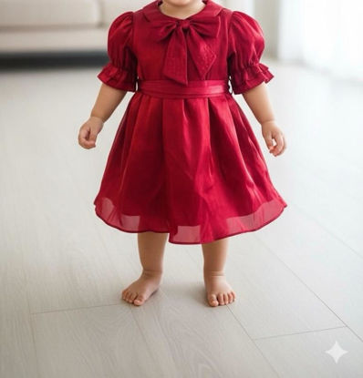 Picture of Fancy Frock For 2Y