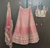 Picture of Pastel Pink Lehanga