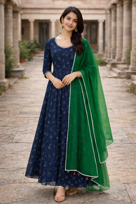 Picture of Georgette chikankari anarkali with organza dupatta