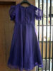 Picture of Blue hand worked rawsilk and organza ankle length dress
