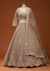Picture of Beige Zariwork (Silver) Net Readymade Lehenga