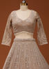 Picture of Beige Zariwork (Silver) Net Readymade Lehenga