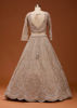 Picture of Beige Zariwork (Silver) Net Readymade Lehenga