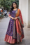 Picture of Patola ethnic dress