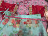 Picture of Pink and aqua floral lehenga