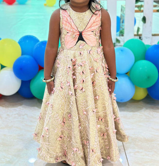 Picture of Miss olive brand Party wear butterfly gown For 4-6Y