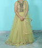 Picture of Pista green all over net and embroidery stone work Lehanga