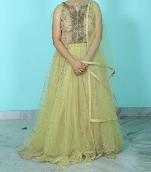 Picture of Pista green all over net and embroidery stone work Lehanga