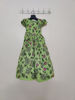 Picture of Green floral sequin work frock 2-4y