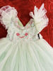Picture of Nakshatra Brand 2 year old girl Birthday Dress