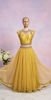 Picture of Mustard yellow net lehenga