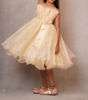 Picture of Beautiful cream organza frock for 6-7 years old