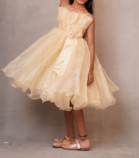 Picture of Beautiful cream organza frock for 6-7 years old