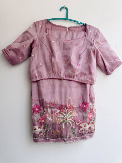 Picture of Party wear saree