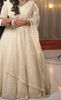 Picture of All over chips work Lehenga