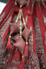 Picture of Pretty Red Lehenga
