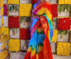 Picture of Combo of Floral Saree and Rainbow saree