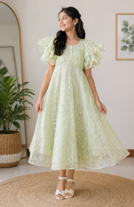 Picture of Organza dress For 12-14Y