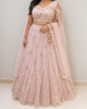 Picture of Pink Lehenga
