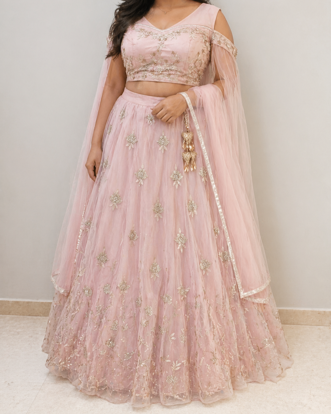 Picture of Pink Lehenga