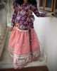 Picture of Paithani lehenga paired with Pure Patola Pattu blouse