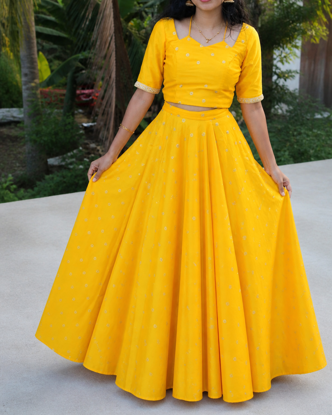 Picture of Flared Lehenga with croptop