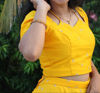 Picture of Flared Lehenga with croptop