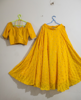 Picture of Flared Lehenga with croptop