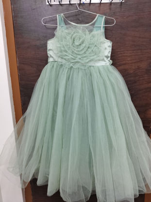 Picture of Mint Green Floral Net Gown for 6-8Y