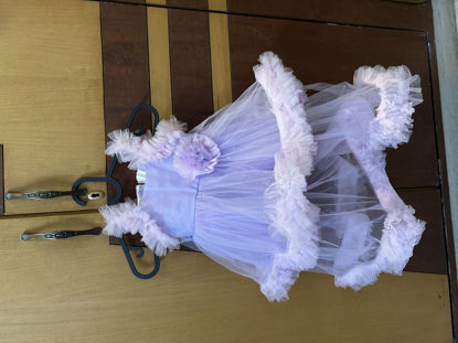 Picture of Lavender soft net frock 1Y