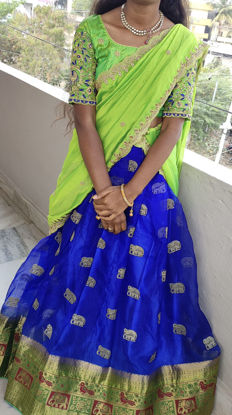 Picture of Royal Blue & Parrot Green Elephant Motif Lehenga Choli