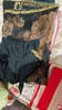 Picture of Pure bottle green organza saree