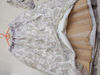 Picture of Ivory & Silver Bloom Lehenga