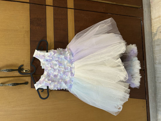 Picture of White dress with tail 1Y