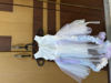 Picture of White dress with tail 1Y