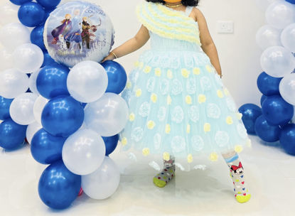Picture of Netted Long frock 4-5y