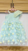 Picture of Netted Long frock 4-5y