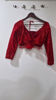 Picture of Bridal red lehanga